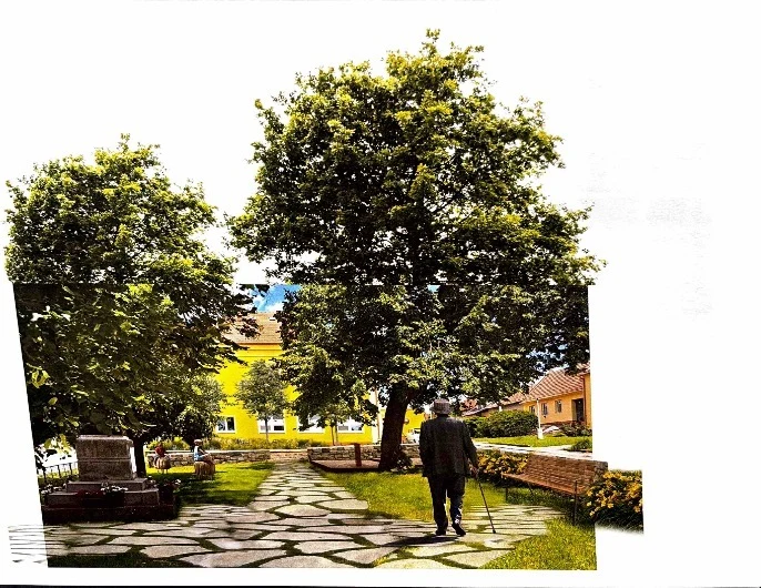 Návrhová vizualizace: Park a okolí školy